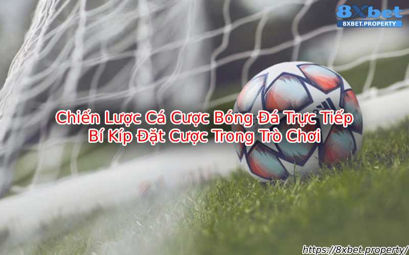 Cá cược bóng đá trực tiếp tại 8xbet Cá cược bóng đá trực tiếp tại 8xbet